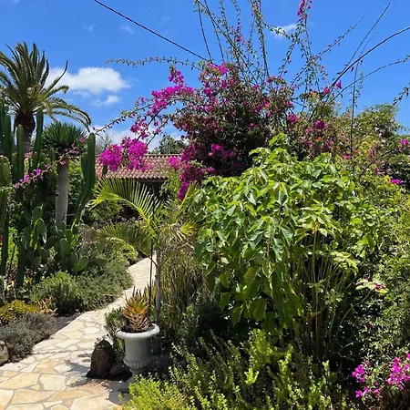 Casa Jardin Tropical 로스 야노스 데 아리다네